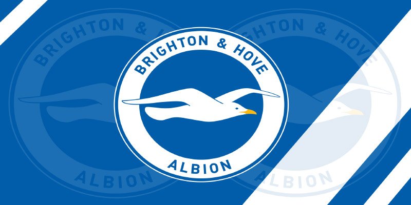 Brighton FC: From Underdogs to Premier League Power